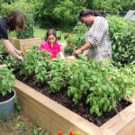 maplebrook school nature life