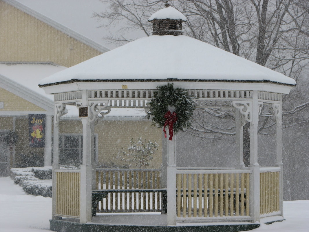 maplebrook school christmas