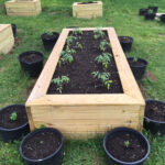 maplebrook school planting activity